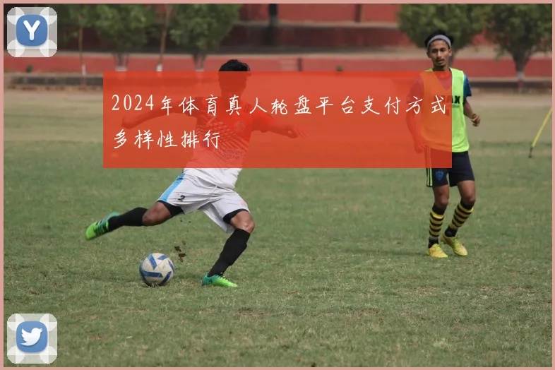 2024年体育真人轮盘平台支付方式多样性排行